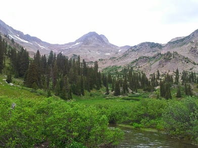 Colorado River Headwaters Fly Fishing