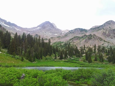 Best Flies for Blue River Fishing in Spring