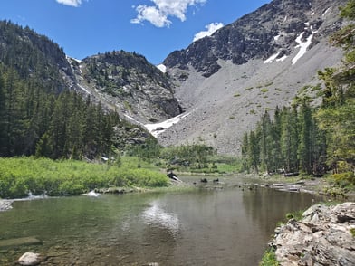 Top 5 Fly Patterns for High Alpine Lakes in Colorado