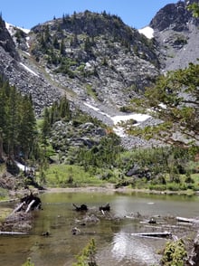 Fly Fishing in Colorado's High Alpine Creeks