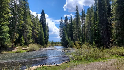 The Best Fly Fishing Spots on the Blue River Colorado