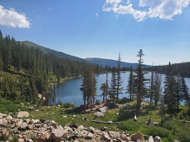 Top Spring Nymphs for Colorado Fishing