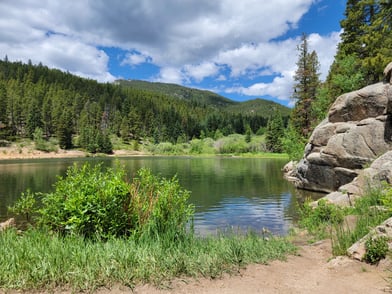 Trout Fishing Treasures: Exploring Colorado's Diverse Species