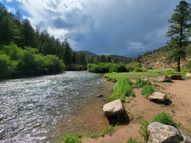 Best Flys for Targeting Trout in Gunnison River