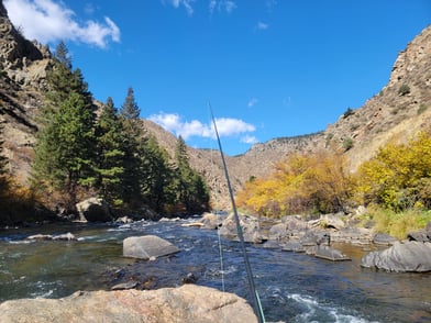 Fly Fishing in Colorado: A Guide to the Top Rivers and Tactics