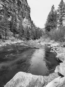 Tips for Successful Spring Dry Fly Fishing in Colorado