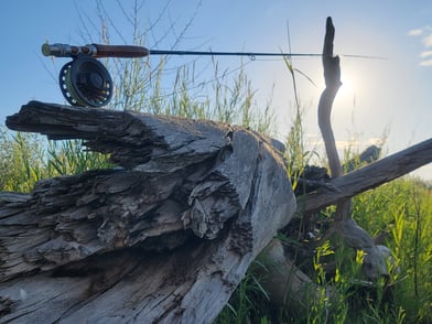 Must-Have Flies for Fly Fishing the Gunnison River: Top 20 Picks