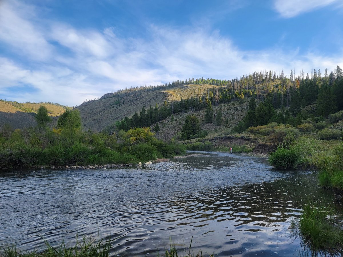 Rise Beyond Fly Fishing Company | Fly Fishing Shop in Denver, Colorado