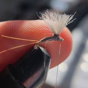 RS2 is a versatile emerger pattern that imitates small mayflies and midges