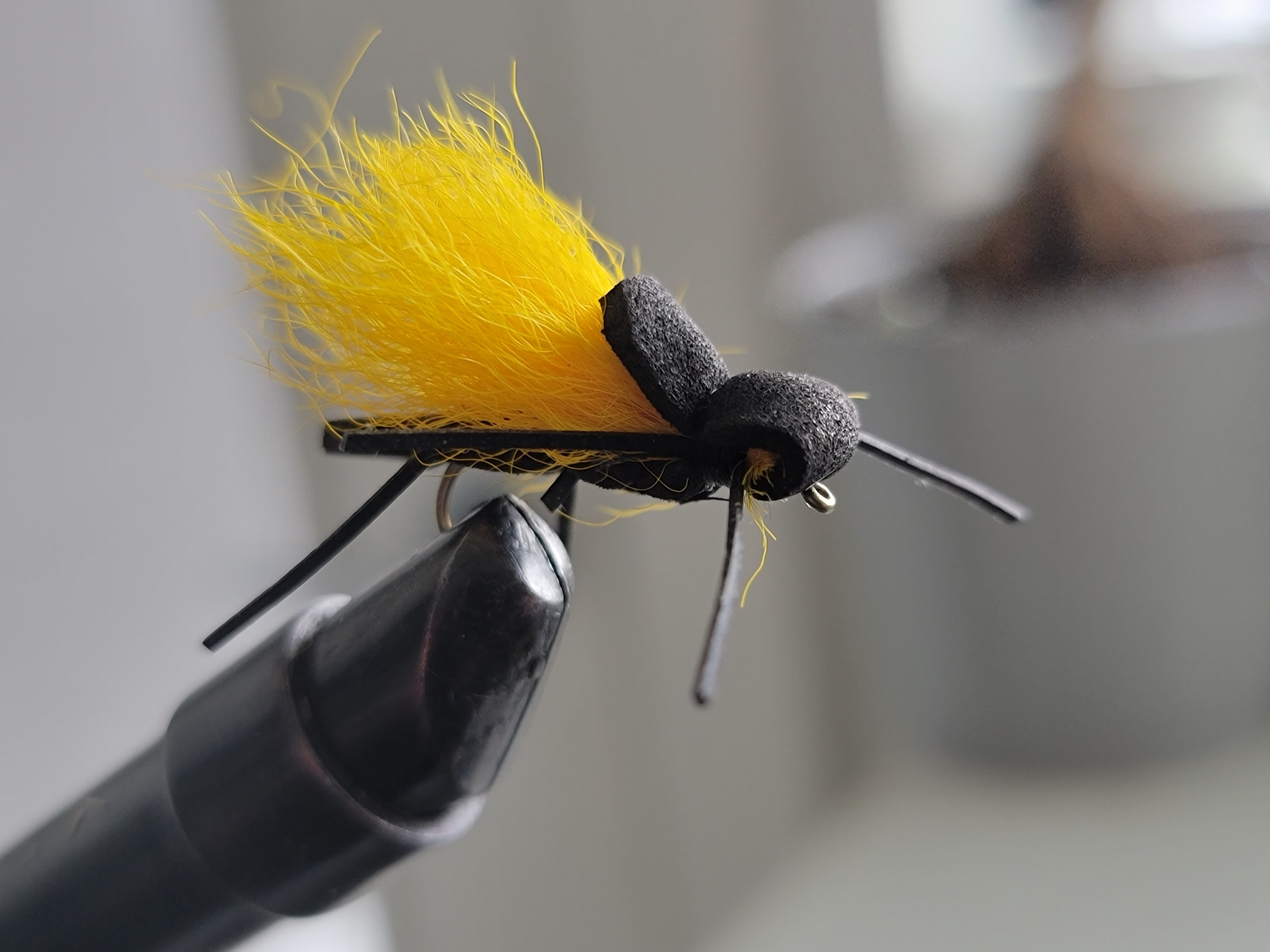 black foam beatle for fly fishing colorado