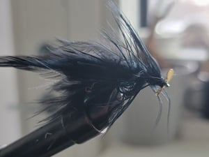 Woolly Bugger is a versatile and effective streamer pattern.