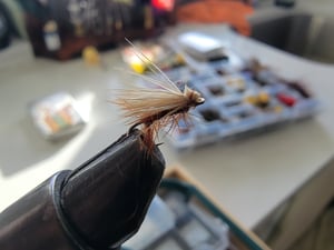  Elk Hair Caddis is another popular dry fly pattern.