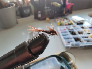 Step-by-Step Guide to Tying the Pheasant Tail Nymph