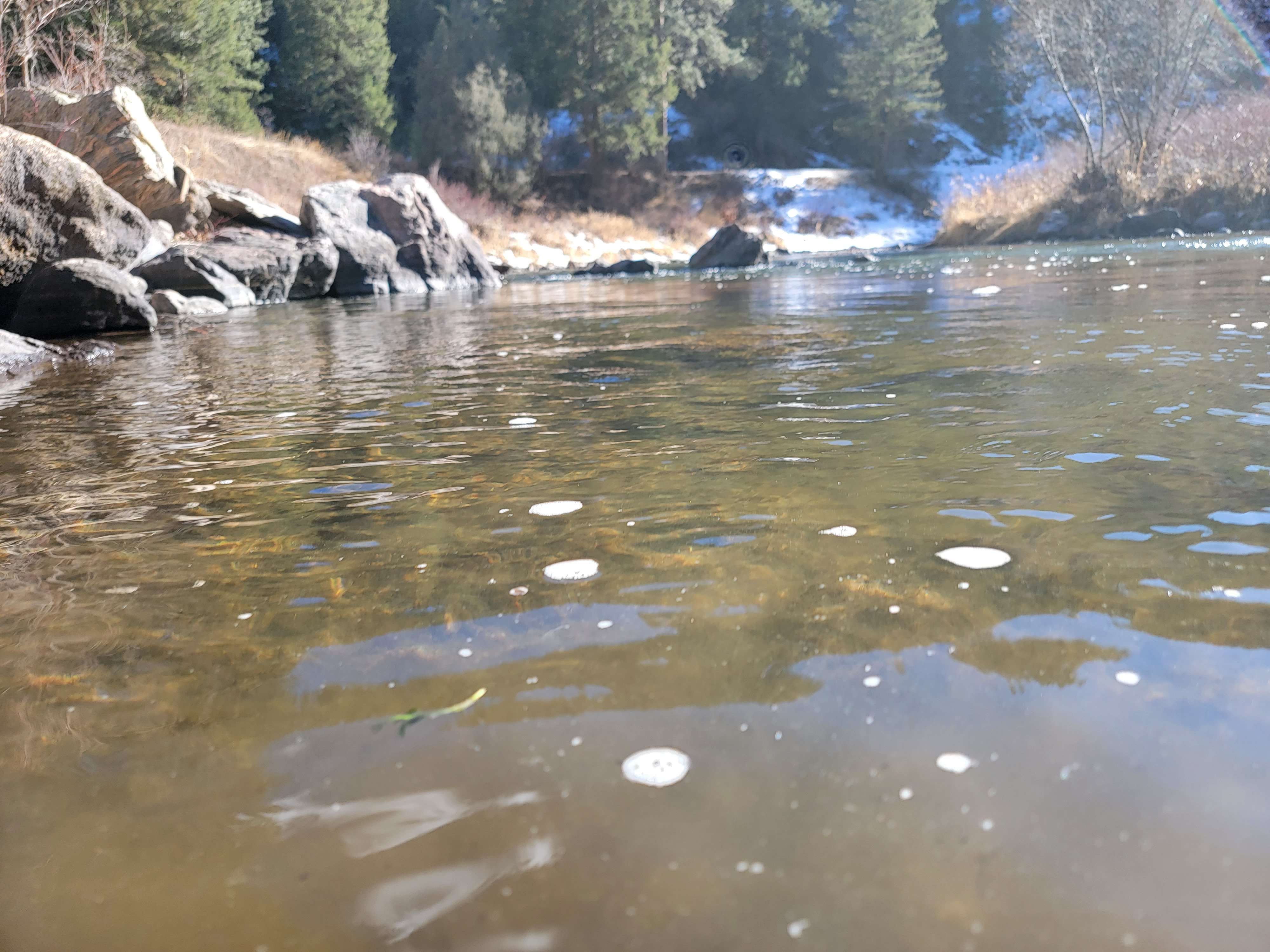 South Platte River Nymphing