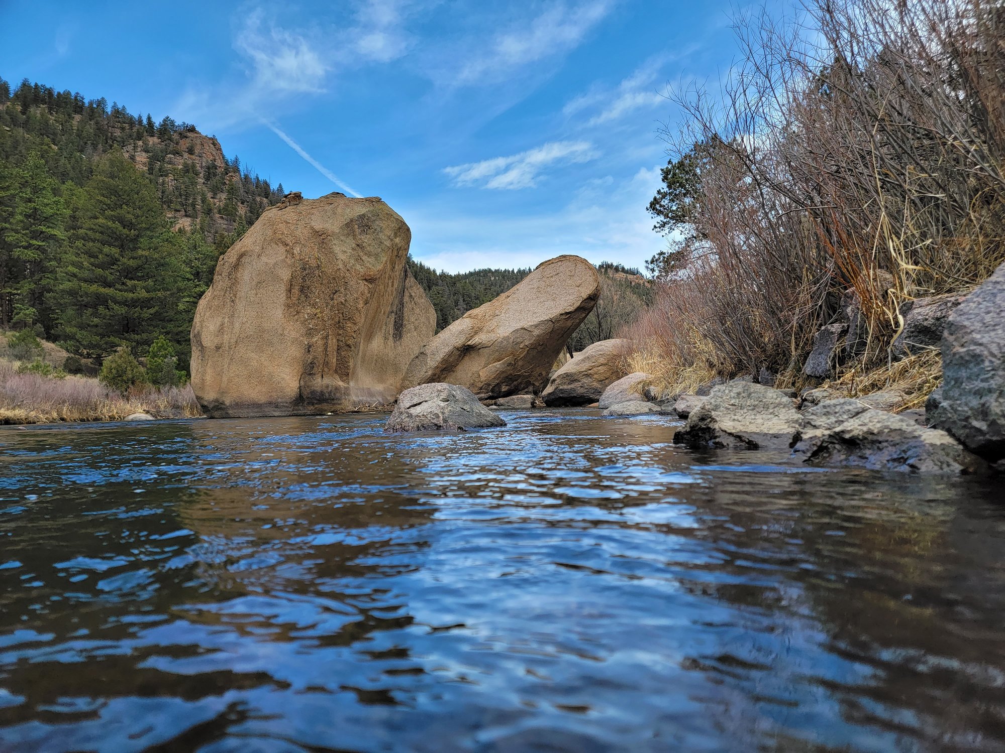 Trout Habitat 101: A Guide to Finding Fish in Rivers in Colorado