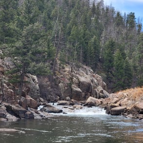 Reviving Trout Habitats in Eleven Mile Canyon