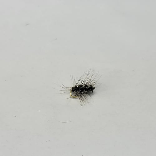 Griffith’s Gnat fly, size 20-24, small and effective for Clear Creek's winter midges, with a delicate cluster of midges appearance