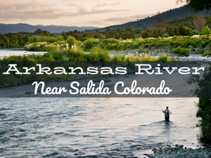 Arkansas River Fly Fishing Report Near Salida