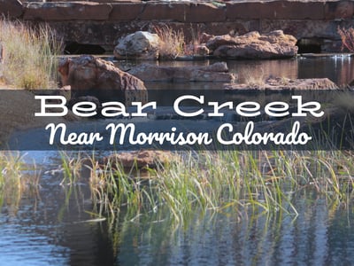 Bear Creek Fly Fishing Report Near Morrison Colorado