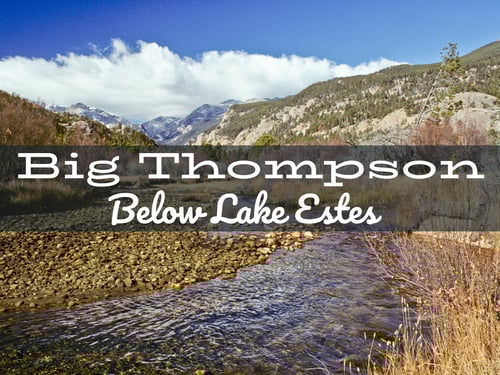 Big Thompson River fly fishing report