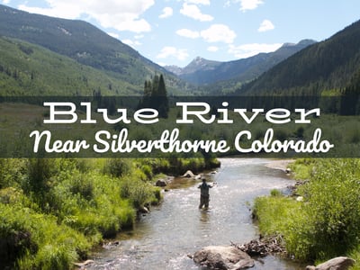 Blue River Fly Fishing Report near Silverthorne Colorado