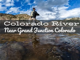 Angler casting on the clear waters of the Lower Colorado River near Grand Junction in fall, surrounded by vibrant autumn foliage