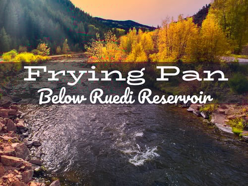 Frying Pan Fly Fishing Report near Reudi Reservoir