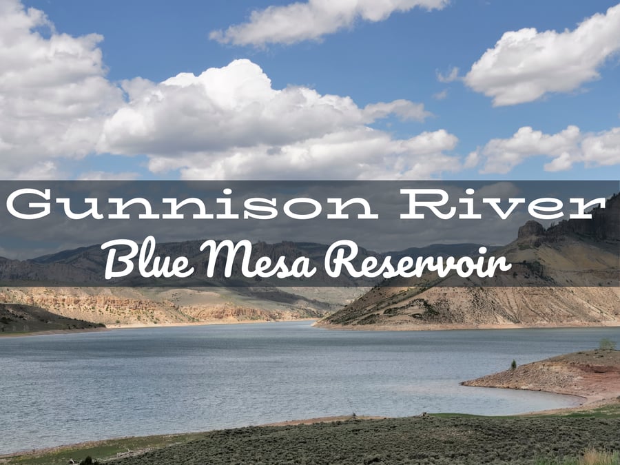 Gunnison River Fly Fishing Report Near Blue Mesa Reservoir