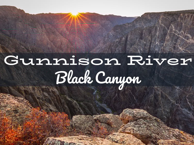 Gunnison River Fly Fishing Report near Black Canyon