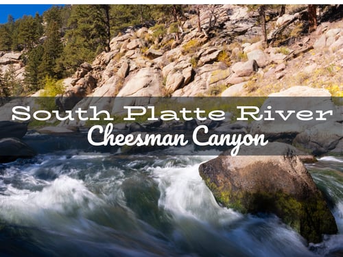 South Platte River Fly Fishing Report Cheesman Canyon