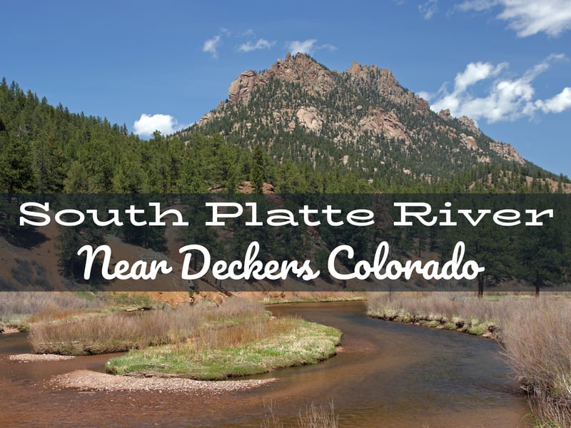South Platte River Fly Fishing Report Near Decker Colorado