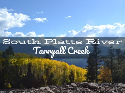 South Platte River Fly Fishing Report Tarryall Creek