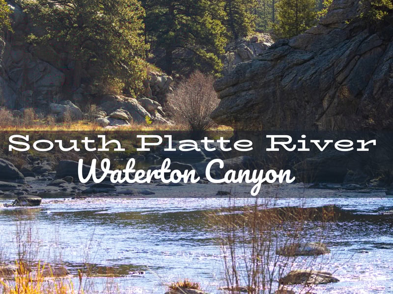 South Platte River Fly Fishing Report Waterton Canyon