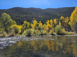 Master the dry-dropper setup for small creek fishing in Colorado. Learn tips and techniques for better success and connection with trout.