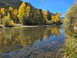 fall fly fishing in clear creek colorado