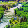 Animas River