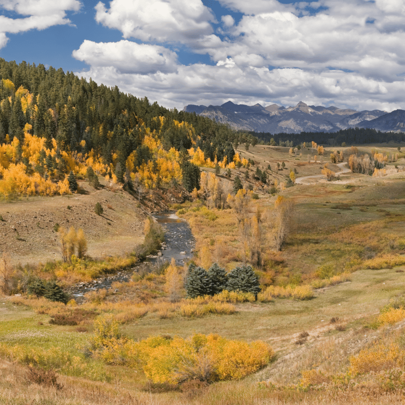 Aerial-style panorama of the Piedra River canyon, highlighting pristine water, pine-covered hills, and the remote beauty of this Pagosa Springs trout stream