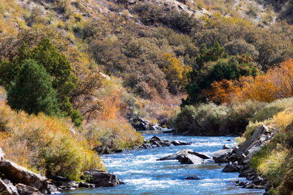 fly fishing in colorado (10)-1