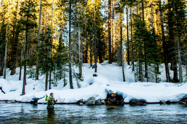 fly fishing in colorado (47)