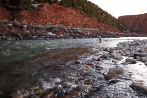 fly fishing in colorado (6)-1