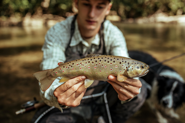 fly fishing in colorado (8)