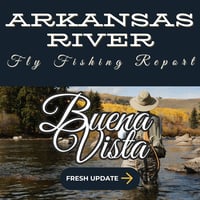 Winter fly fishing on the Upper Arkansas River from Leadville to Buena Vista offers scenic, productive waters with plenty of trout, but prepare for cold conditions.