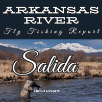 Fly angler casting into the Middle Basin of the Arkansas River near Buena Vista, surrounded by scenic mountain views and fast-moving water in pocket pools and riffles