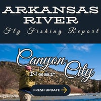 Fly angler casting into the Lower Arkansas River near Cañon City, surrounded by canyon cliffs and crystal-clear waters, targeting trout in deep pools and riffles