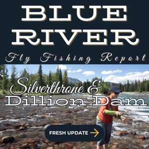 Blue River near silverthorne - The Blue Rivers turquoise waters roll through gravel beds with the mountainous horizon