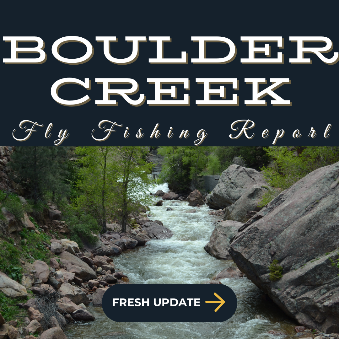 Boulder Creek - Boulder Creeks lively currents weaving through boulders and trees