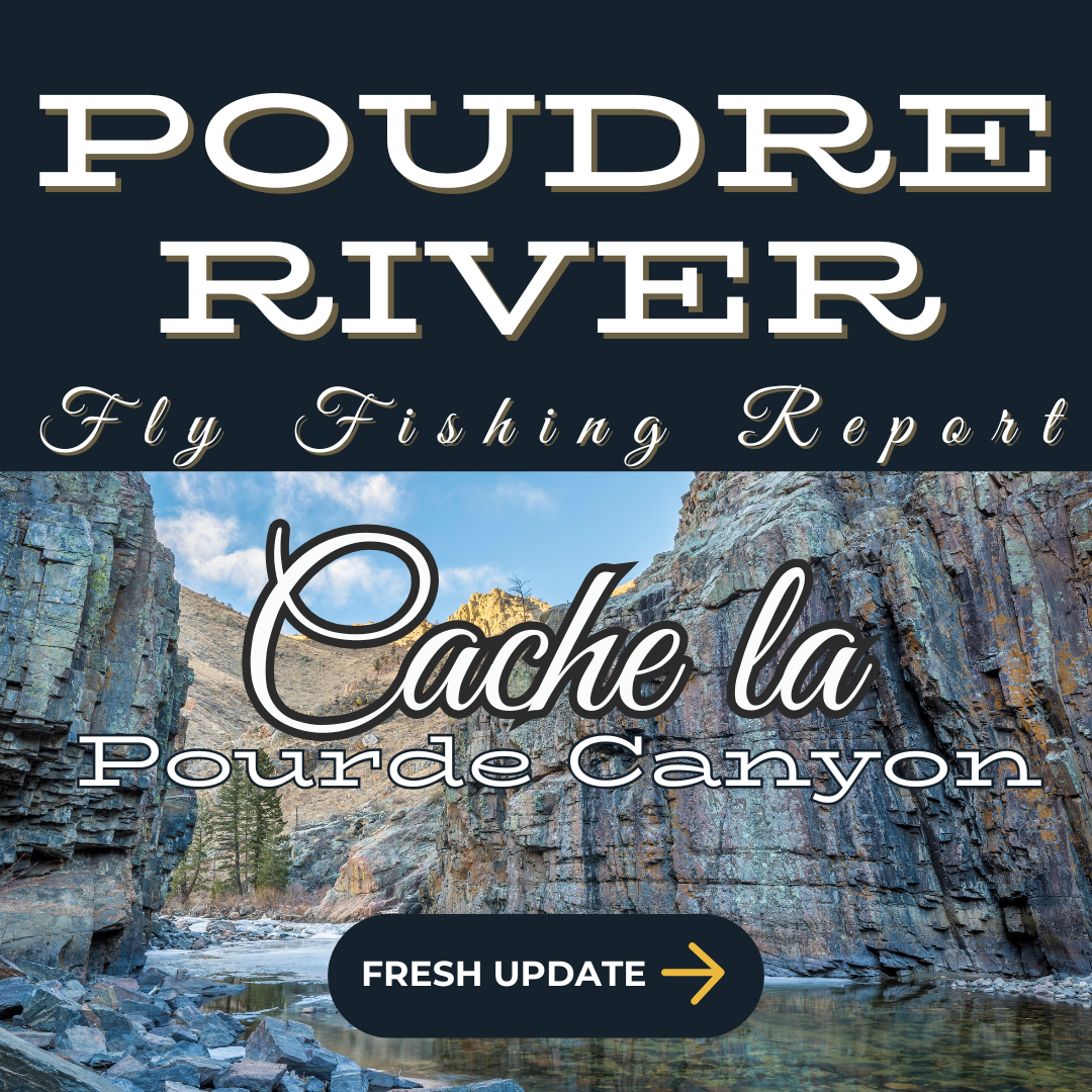 Cache la Poudre River - The Cache la Poudre River winding through a picturesque canyon