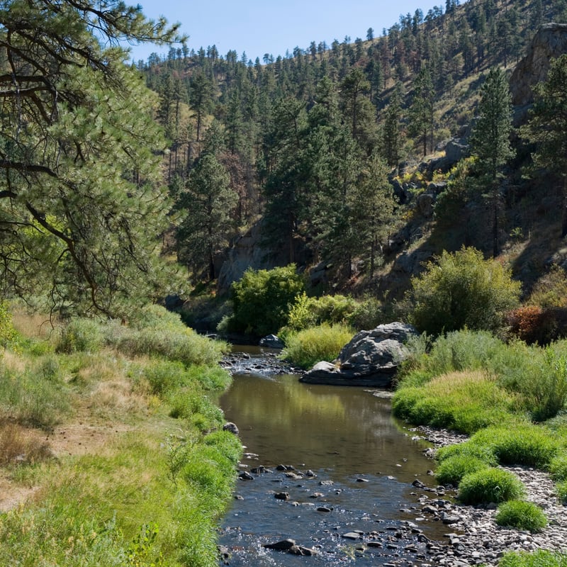 Cheesman Canyon near Deckers Colorado a fly fishing spot near denver
