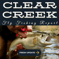 Clear creek fly fishing report from rise beyond fly fishing. Colorado fly fishing reports