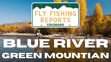 Angler fly fishing on the Blue River in Colorado, casting into clear, cold waters below the Dillon Reservoir, surrounded by mountain scenery